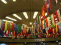 Flags at the UNO City