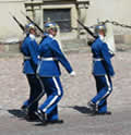 Changing the guard at the palace